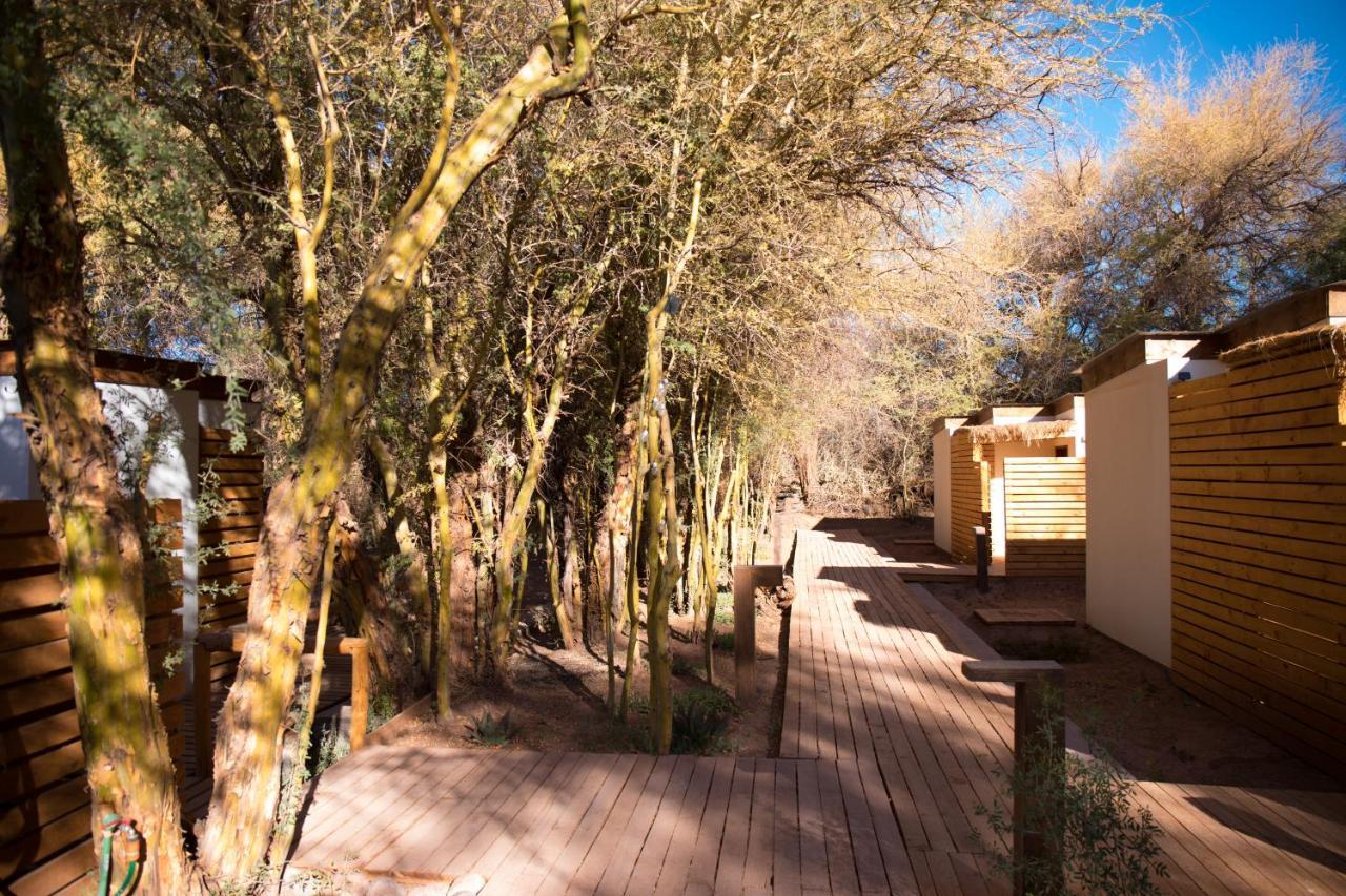 Lodge Quelana San Pedro de Atacama Exteriér fotografie