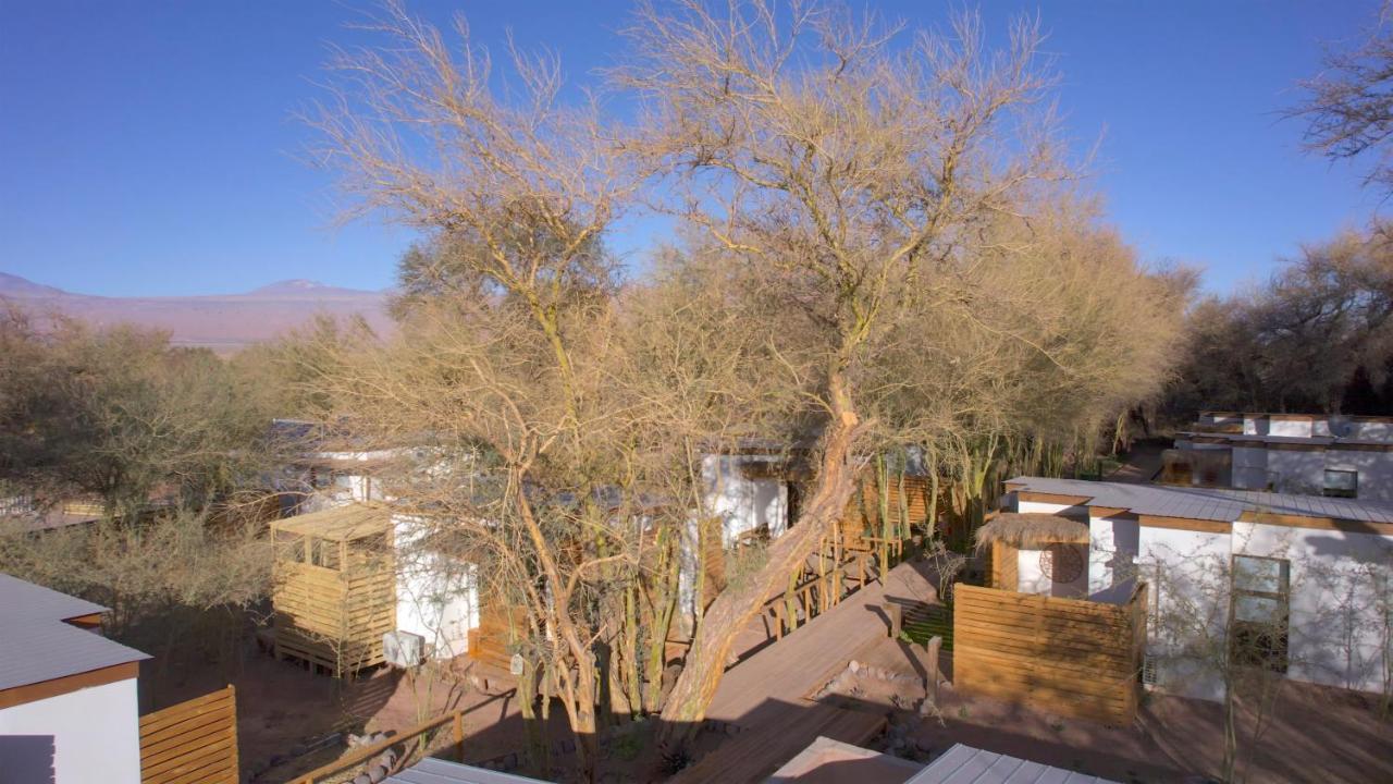 Lodge Quelana San Pedro de Atacama Exteriér fotografie